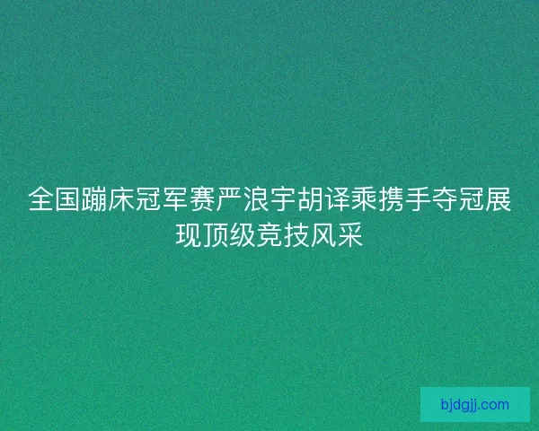 全国蹦床冠军赛严浪宇胡译乘携手夺冠展现顶级竞技风采